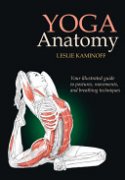 ѧYoga_Anatomy