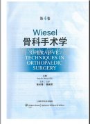 wieselǿѧ4.pdf