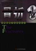2011ǿƱ׼飺(2)ķ롷()˹